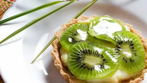 Tartelettes aux kiwis